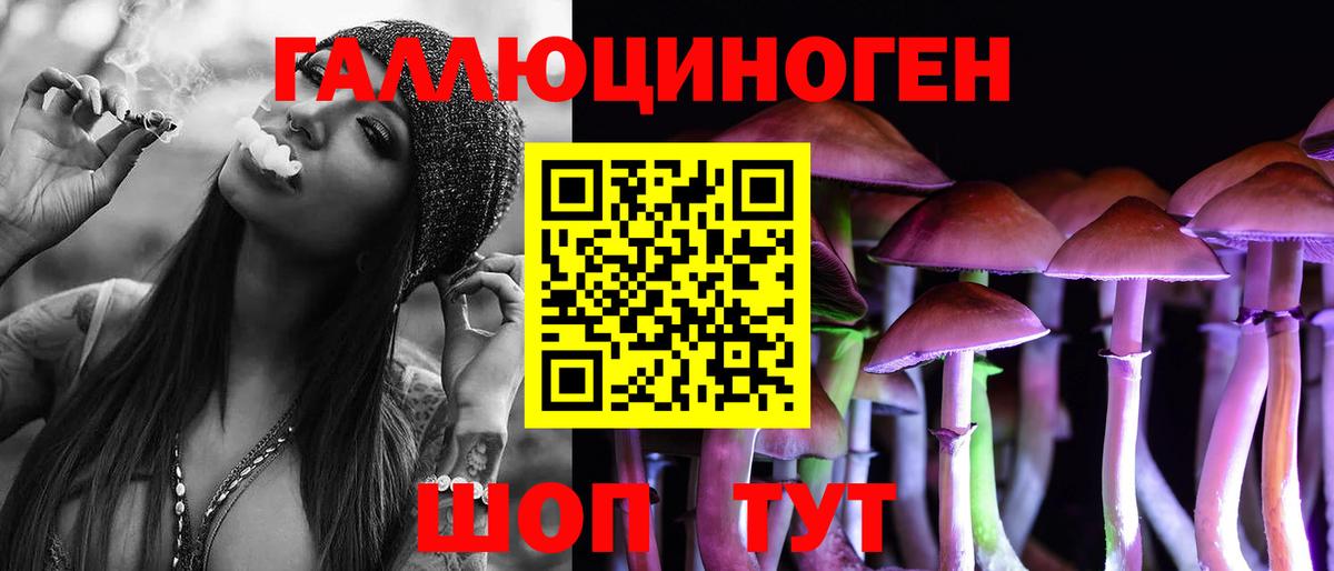 Малгобек  Псилоцибиновые грибы мухоморы  Вход с VPN  Псилоцибиновые грибы мухоморы 